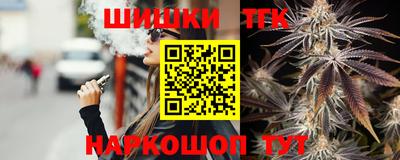 индика Лесосибирск