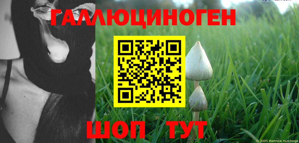 Каменка  Псилоцибиновые грибы мицелий  Вход с VPN 