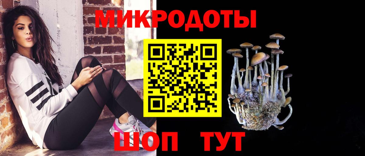 Галлюциногенные грибы GOLDEN TEACHER Каменка